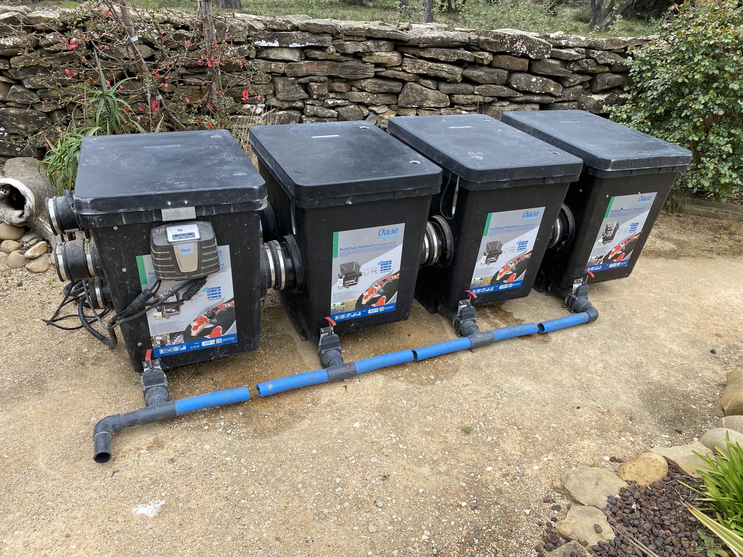 Module de filtration gravitaire Oase complet